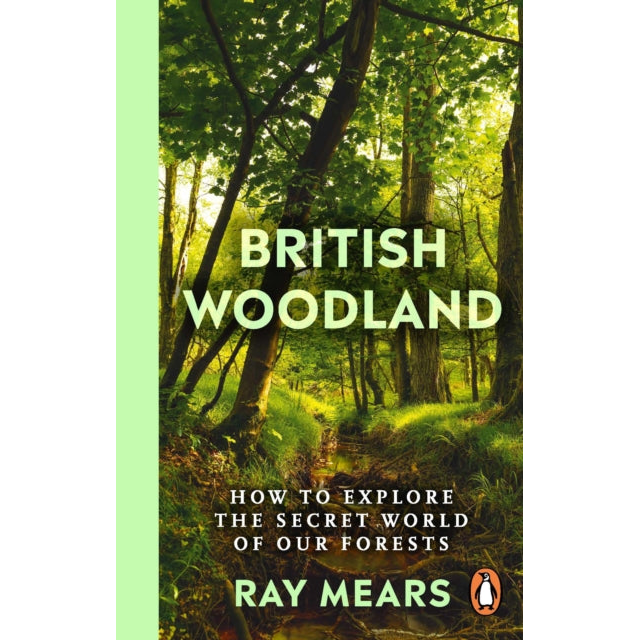British Woodland : How to explore the secret world of our forests