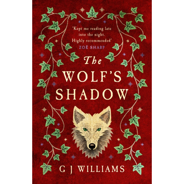 The Wolf's Shadow : 'A joy for the senses... see the smoke and grime of Tudor London' Chris Lloyd