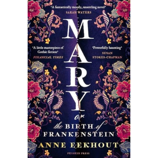Mary : or, the Birth of Frankenstein