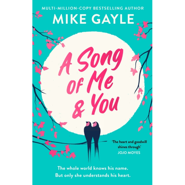 A Song of Me and You : everyone knows this rock star's name: only his first love understands his heart