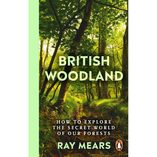 British Woodland : How to explore the secret world of our forests