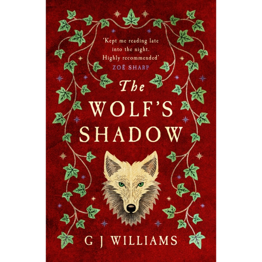The Wolf's Shadow : 'A joy for the senses... see the smoke and grime of Tudor London' Chris Lloyd
