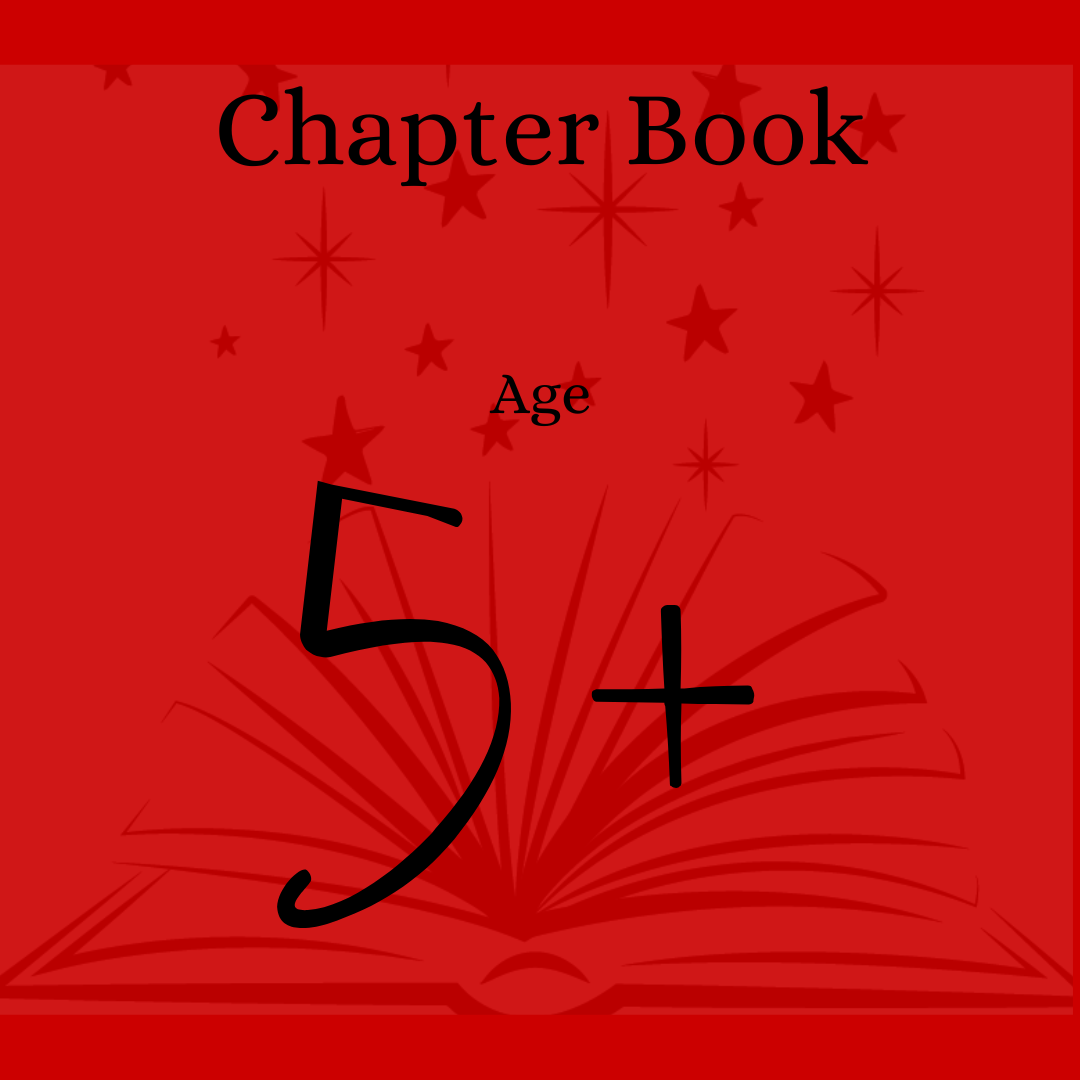 Christmas Book Age 5+
