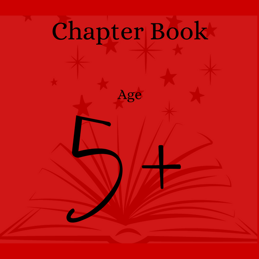 Christmas Book Age 5+