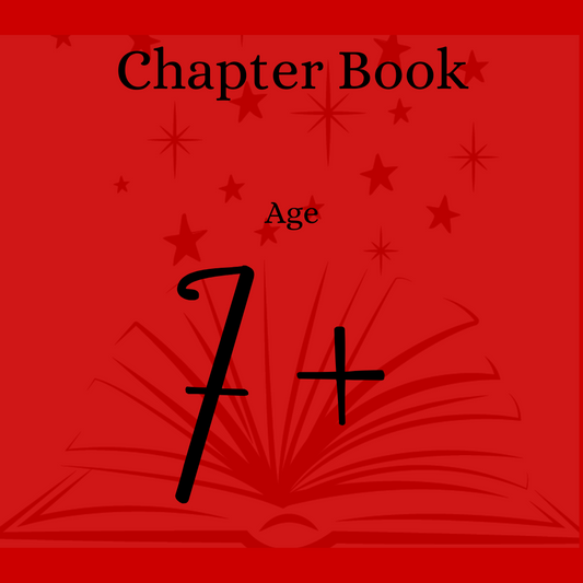 Christmas Book Age 7+