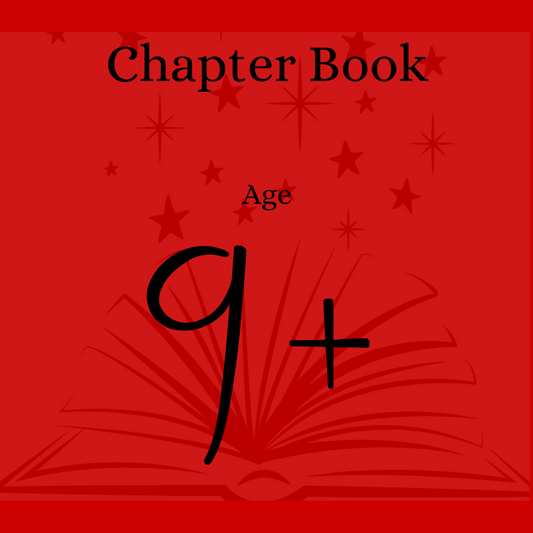 Christmas Book Age 9+