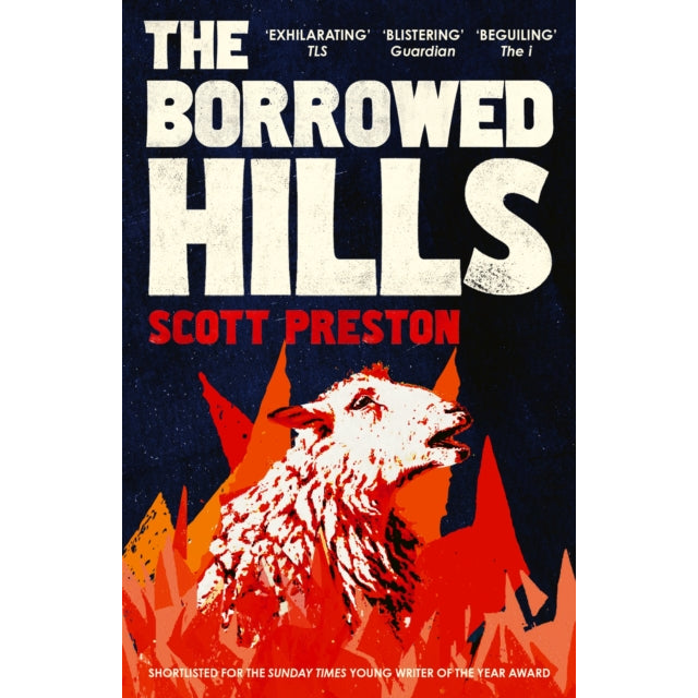 The Borrowed Hills : 'A sucker-punch of a novel' Guardian