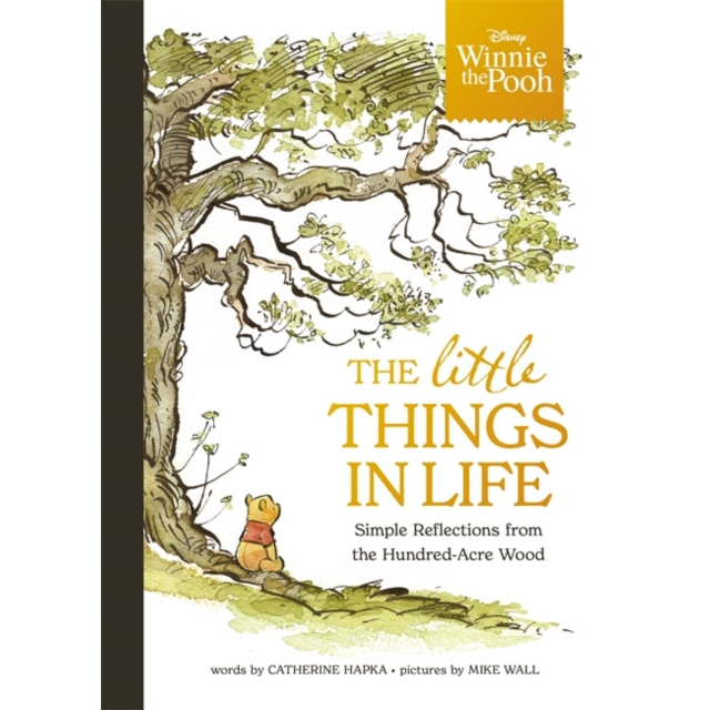 Winnie the Pooh - The Little Things in Life : Simple reflections from the Hundred-Acre Wood