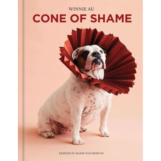 Cone of Shame