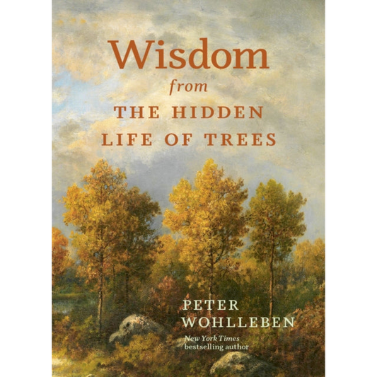 Wisdom from the Hidden Life of Trees