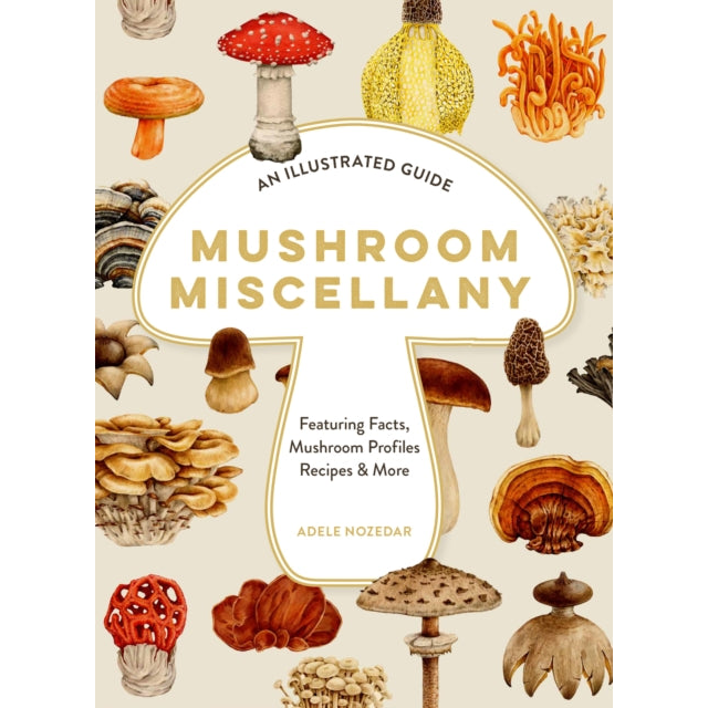 Mushroom Miscellany : An Illustrated Guide Featuring Fun Facts, Mushroom Profiles, Recipes & More